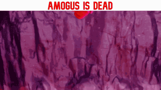 Among Us Fall Guys GIF
