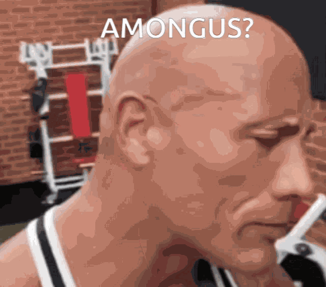 Amongus Amogus GIF