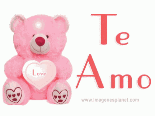 Amor GIF