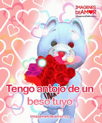 Amor GIF