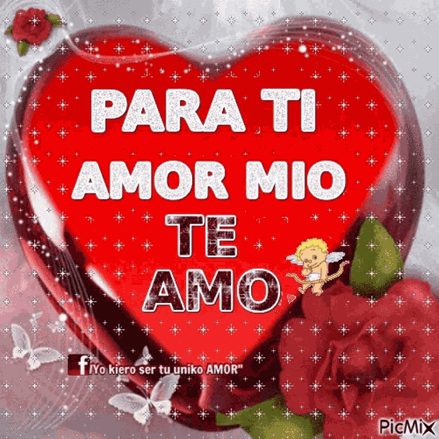 Amor Te Amo Para Ti Amor Mio GIF