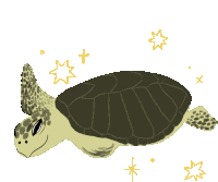 Amputee Sea Turtle Sticker