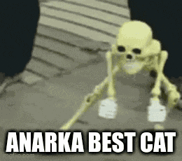 Anarkabestcat GIF