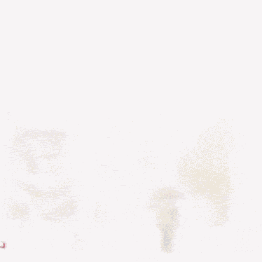 And Josh Is White Close Enough GIF