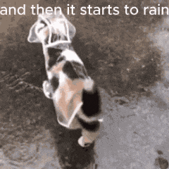 And Then It Starts To Rain Hero Phase 2 GIF