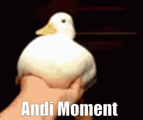 Andi Moment GIF