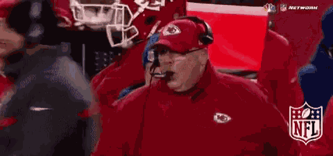 Andy Reid GIF