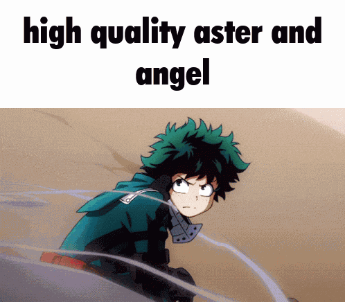 Angel And Aster Midoriya Izuku GIF