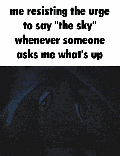 Angel Hare Caption GIF