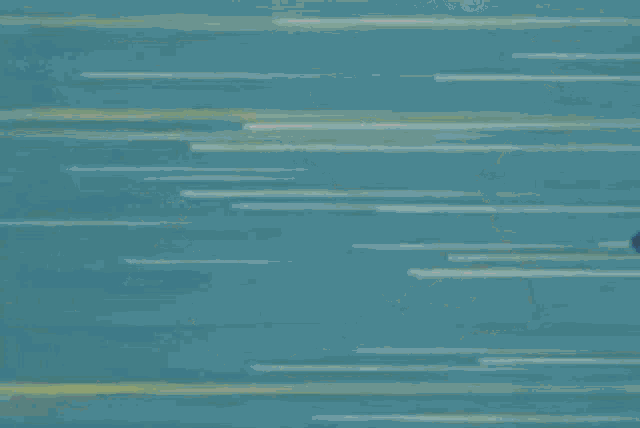 Angelaanconda Cartoon GIF