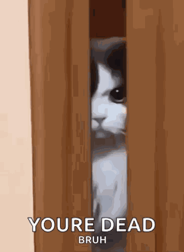 Angry Angry Cat GIF