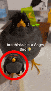 Angry Bird GIF