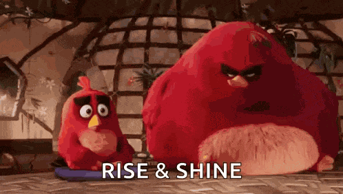 Angry Birds Movie Red Flag GIF