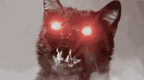 Angry C At GIF