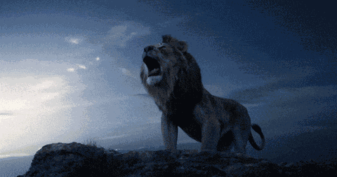 Angry Lion GIF