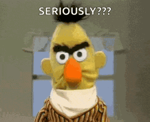 Angrybert Seriously GIF