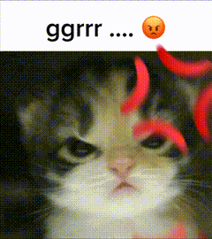 Angy Cat Skibidifartinhaler69 GIF