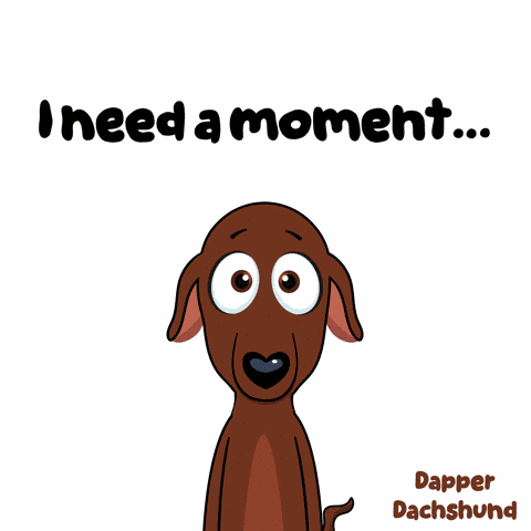 Animal Cant Belive GIF