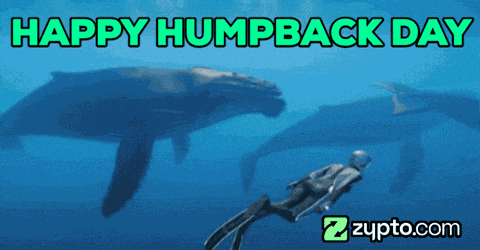 Animal Pun Crypto GIF