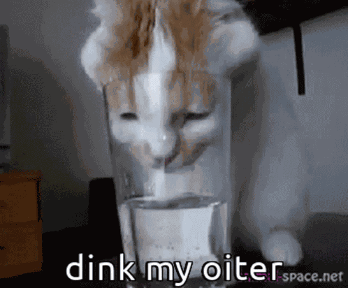 Animals With Captions Dink My Oiter GIF