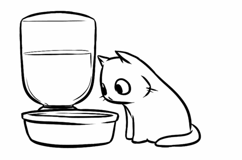 Animation Cat GIF