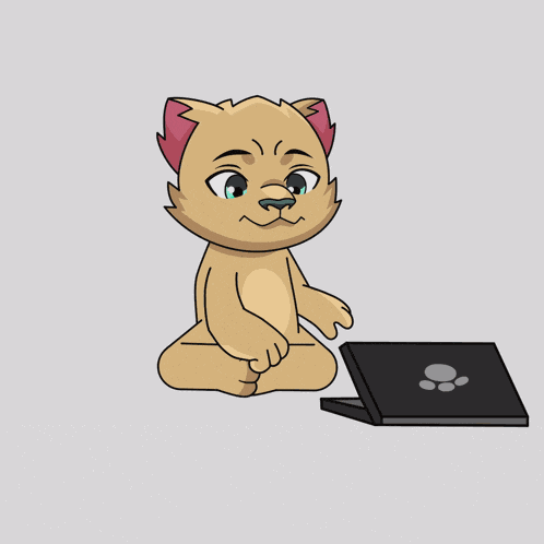 Animations Memes GIF