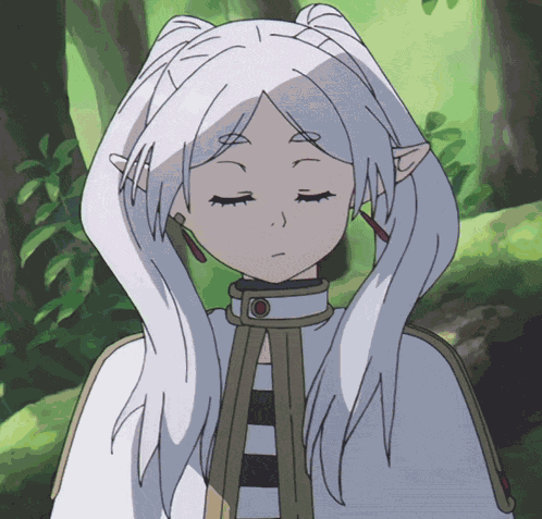 Anime Frieren GIF