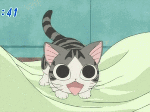 Anime Kitteh GIF