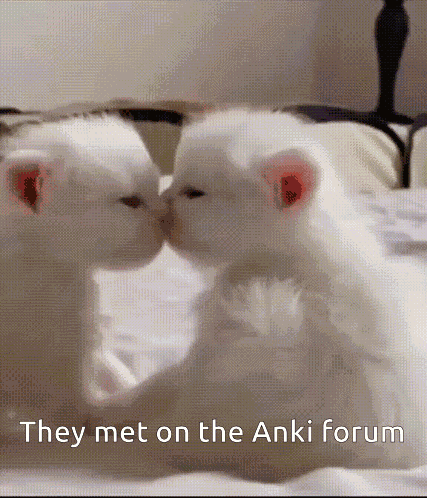 Anki Blt GIF