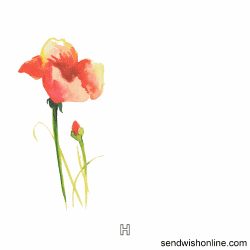 Anniversary Anniversary Wishes GIF