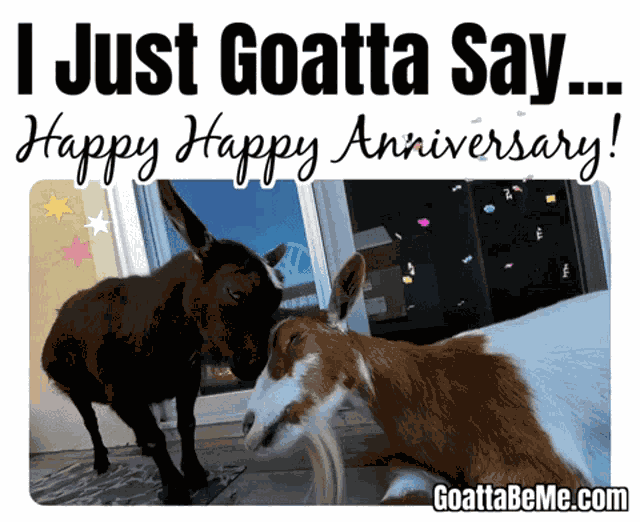 Anniversary Happy Anniversary GIF