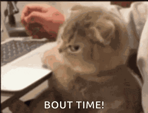 Annoyed Disappointed GIF