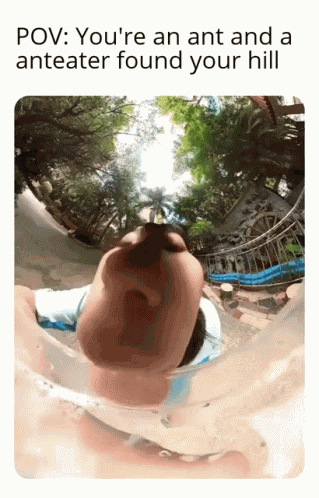 Anteater Hill GIF