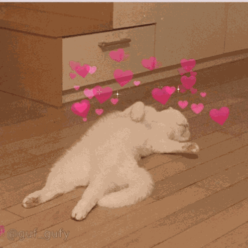 Apaixonado Apaixonado Por Você GIF