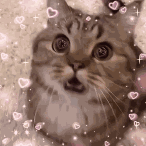Apaixonado Brilho Nos Olhos GIF