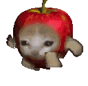 Apple Apple Cat Sticker