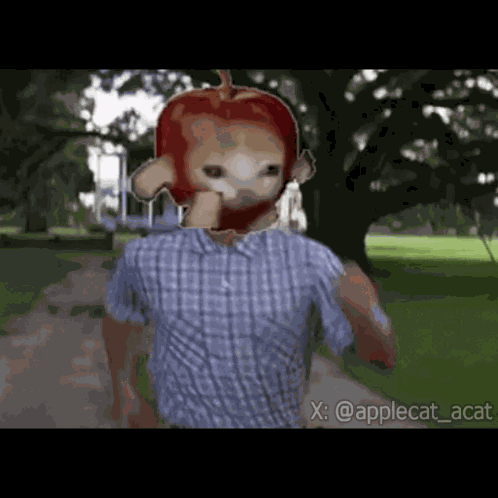 Apple Cat GIF