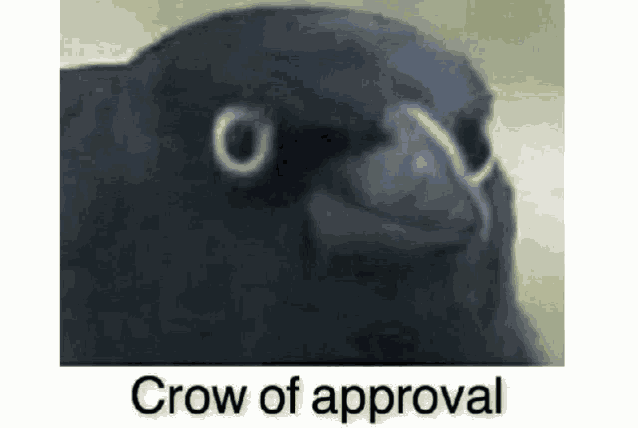 Approval Crow Meme