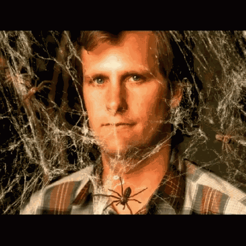 Arachnophobia Spider GIF
