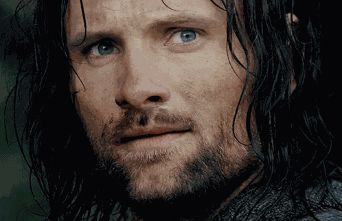Aragorn GIF