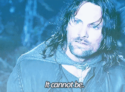 Aragorn Lord GIF