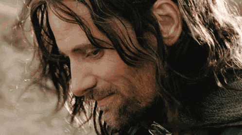 Aragorn Lotr GIF