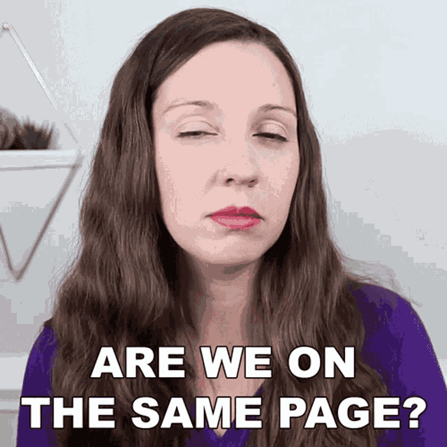 Are We On The Same Page Vanessa Joy GIF