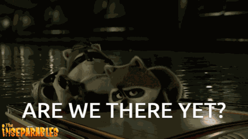 Are We There Yet Raccoon GIF