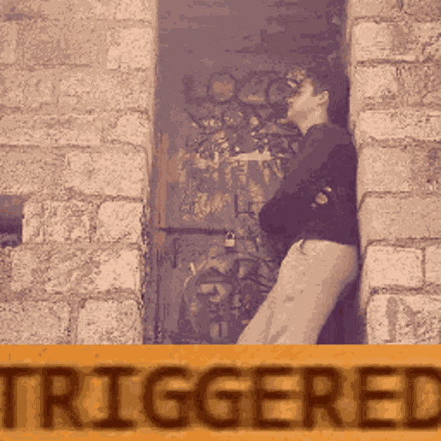 Arismcsteve1 Triggered GIF