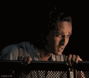 Armand Liar GIF