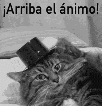 Arriba El Animo GIF
