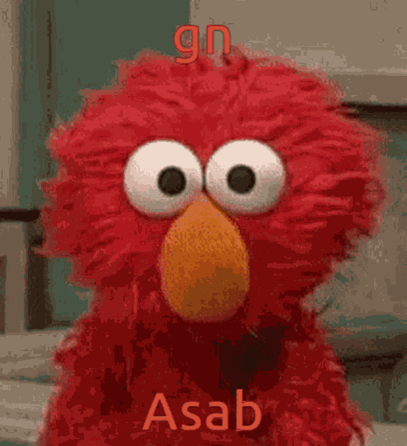 Aseal GIF