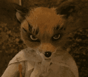 Ash Fox Fantastic Mr Fox GIF