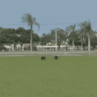 Ashton Hall Ashton Falls GIF